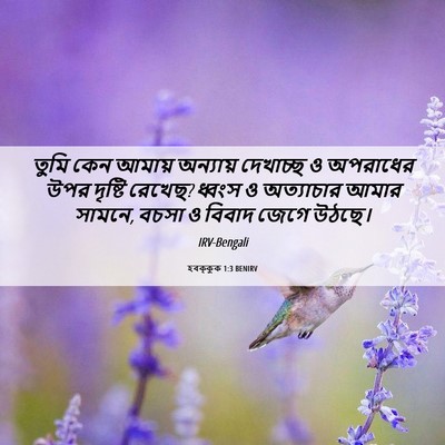 Picture 06 - হবক্কুক 1:3 BENIRV - তুমি কেন আমায় - Bible Verse Picture