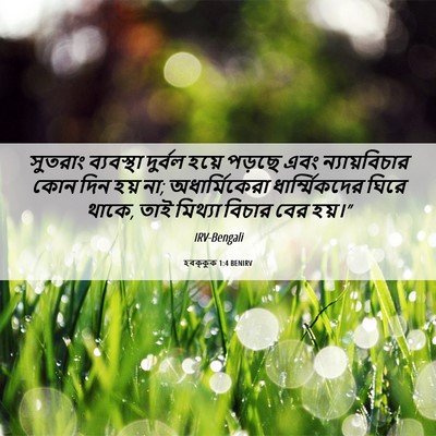 Picture 06 - হবক্কুক 1:4 BENIRV - সুতরাং ব্যবস্থা - Bible Verse Picture
