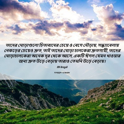 Picture 06 - হবক্কুক 1:8 BENIRV - তাদের ঘোড়াগুলো - Bible Verse Picture