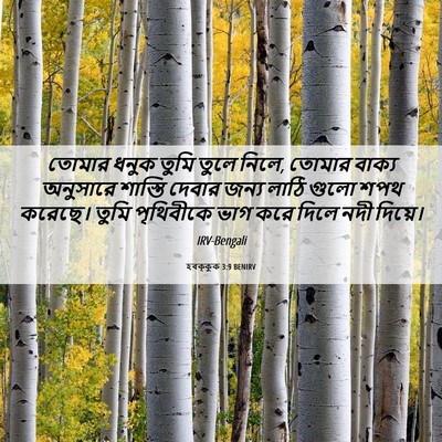 Picture 06 - হবক্কুক 3:9 BENIRV - তোমার ধনুক তুমি - Bible Verse Picture