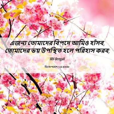 Picture 06 - হিতোপদেশ 1:26 BENIRV - এজন্য তোমাদের - Bible Verse Picture