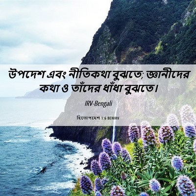 Picture 06 - হিতোপদেশ 1:6 BENIRV - উপদেশ এবং নীতিকথা - Bible Verse Picture