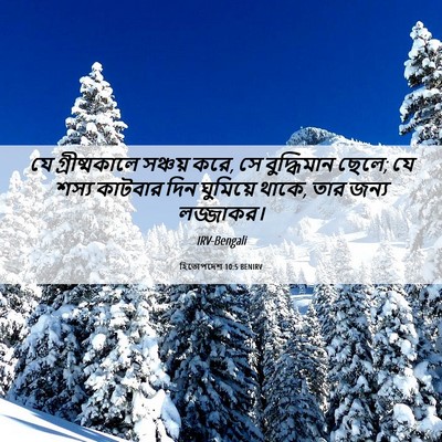 Picture 06 - হিতোপদেশ 10:5 BENIRV - যে গ্রীষ্মকালে - Bible Verse Picture
