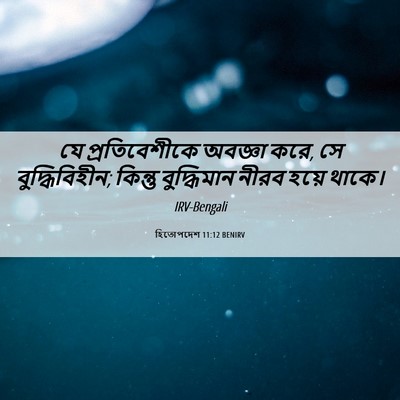 Picture 06 - হিতোপদেশ 11:12 BENIRV - যে প্রতিবেশীকে - Bible Verse Picture