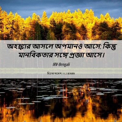 Picture 06 - হিতোপদেশ 11:2 BENIRV - অহঙ্কার আসলে - Bible Verse Picture