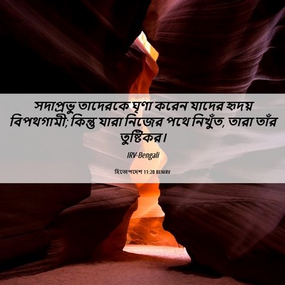 Picture 06 - হিতোপদেশ 11:20 BENIRV - সদাপ্রভু তাদেরকে - Bible Verse Picture