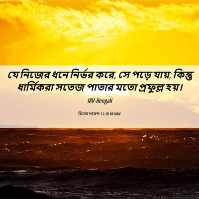 Picture 06 - হিতোপদেশ 11:28 BENIRV - যে নিজের ধনে - Bible Verse Picture