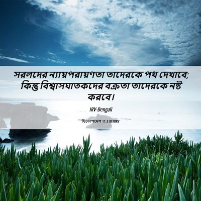 Picture 06 - হিতোপদেশ 11:3 BENIRV - সরলদের - Bible Verse Picture