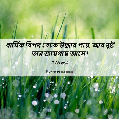 Picture 06 - হিতোপদেশ 11:8 BENIRV - ধার্মিক বিপদ থেকে - Bible Verse Picture