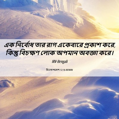 Picture 06 - হিতোপদেশ 12:16 BENIRV - এক নির্বোধ তার রাগ - Bible Verse Picture