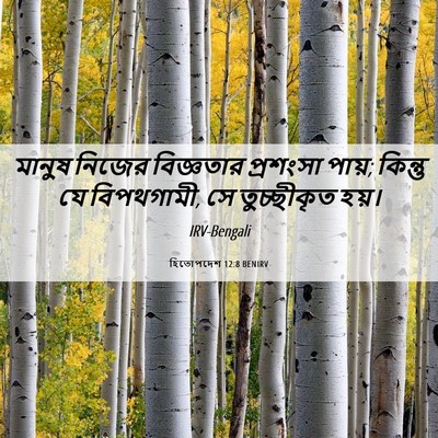 Picture 06 - হিতোপদেশ 12:8 BENIRV - মানুষ নিজের - Bible Verse Picture