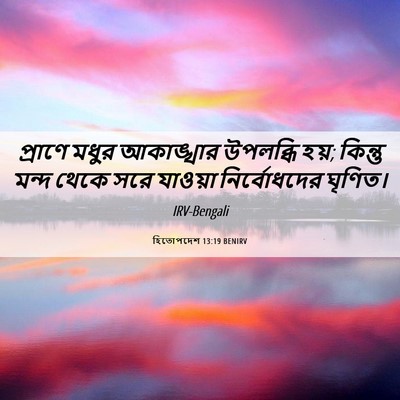 Picture 06 - হিতোপদেশ 13:19 BENIRV - প্রাণে মধুর - Bible Verse Picture