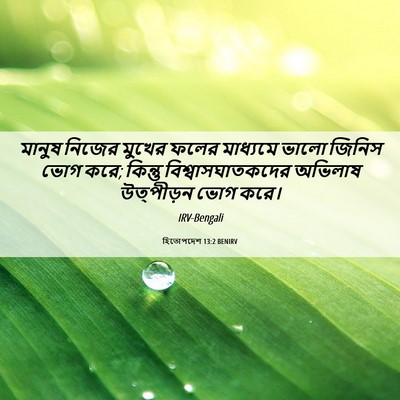 Picture 06 - হিতোপদেশ 13:2 BENIRV - মানুষ নিজের মুখের - Bible Verse Picture