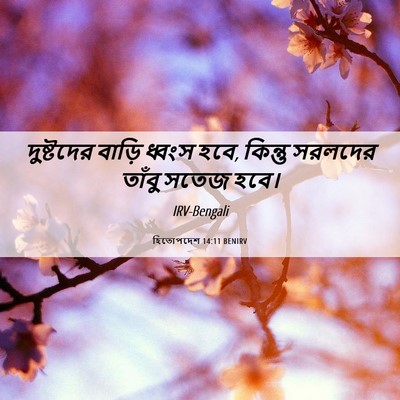 Picture 06 - হিতোপদেশ 14:11 BENIRV - দুষ্টদের বাড়ি - Bible Verse Picture