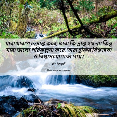 Picture 06 - হিতোপদেশ 14:22 BENIRV - যারা খারাপ - Bible Verse Picture