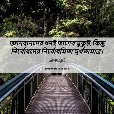 Picture 06 - হিতোপদেশ 14:24 BENIRV - জ্ঞানবানদের ধনই - Bible Verse Picture