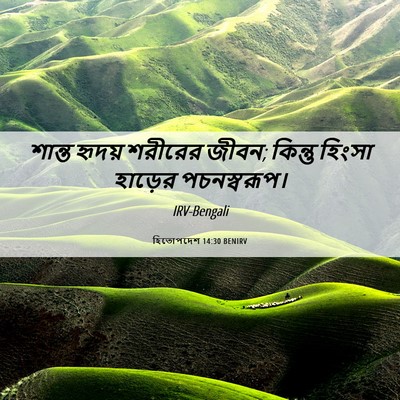 Picture 06 - হিতোপদেশ 14:30 BENIRV - শান্ত হৃদয় - Bible Verse Picture