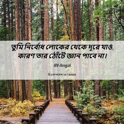 Picture 06 - হিতোপদেশ 14:7 BENIRV - তুমি নির্বোধ - Bible Verse Picture