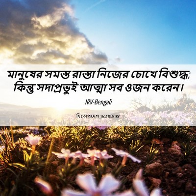 Picture 06 - হিতোপদেশ 16:2 BENIRV - মানুষের সমস্ত - Bible Verse Picture
