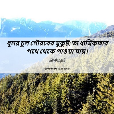 Picture 06 - হিতোপদেশ 16:31 BENIRV - ধূসর চুল গৌরবের - Bible Verse Picture