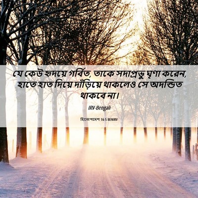 Picture 06 - হিতোপদেশ 16:5 BENIRV - যে কেউ হৃদয়ে - Bible Verse Picture