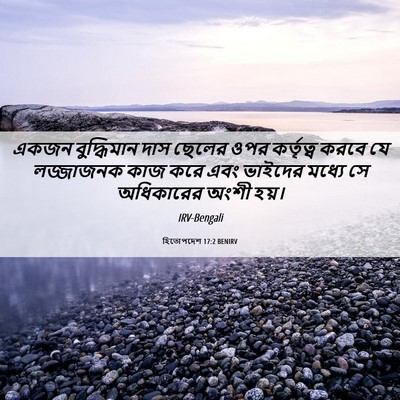 Picture 06 - হিতোপদেশ 17:2 BENIRV - একজন বুদ্ধিমান - Bible Verse Picture