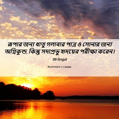 Picture 06 - হিতোপদেশ 17:3 BENIRV - রূপার জন্য ধাতু - Bible Verse Picture