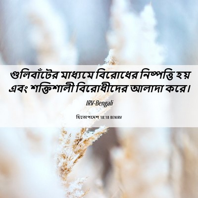 Picture 06 - হিতোপদেশ 18:18 BENIRV - গুলিবাঁটের - Bible Verse Picture