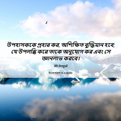 Picture 06 - হিতোপদেশ 19:25 BENIRV - উপহাসককে প্রহার - Bible Verse Picture