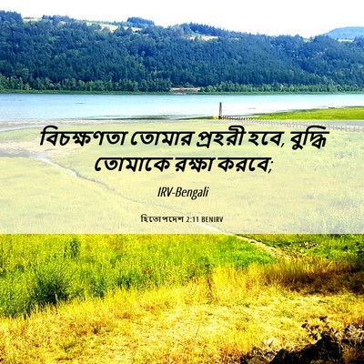 Picture 06 - হিতোপদেশ 2:11 BENIRV - বিচক্ষণতা তোমার - Bible Verse Picture
