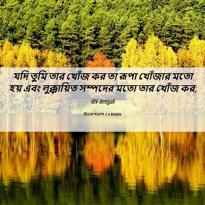 Picture 06 - হিতোপদেশ 2:4 BENIRV - যদি তুমি তার খোঁজ - Bible Verse Picture
