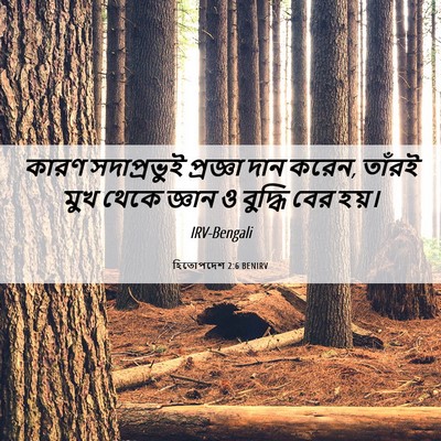 Picture 06 - হিতোপদেশ 2:6 BENIRV - কারণ সদাপ্রভুই - Bible Verse Picture