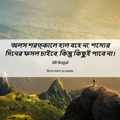 Picture 06 - হিতোপদেশ 20:4 BENIRV - অলস শরত্কালে হাল - Bible Verse Picture