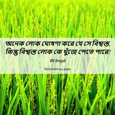 Picture 06 - হিতোপদেশ 20:6 BENIRV - অনেক লোক ঘোষণা করে - Bible Verse Picture