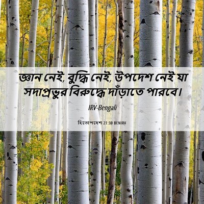 Picture 06 - হিতোপদেশ 21:30 BENIRV - জ্ঞান নেই, বুদ্ধি - Bible Verse Picture