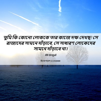 Picture 06 - হিতোপদেশ 22:29 BENIRV - তুমি কি কোনো লোককে - Bible Verse Picture