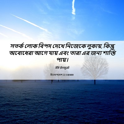 Picture 06 - হিতোপদেশ 22:3 BENIRV - সতর্ক লোক বিপদ - Bible Verse Picture