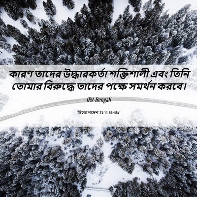 Picture 06 - হিতোপদেশ 23:11 BENIRV - কারণ তাদের - Bible Verse Picture
