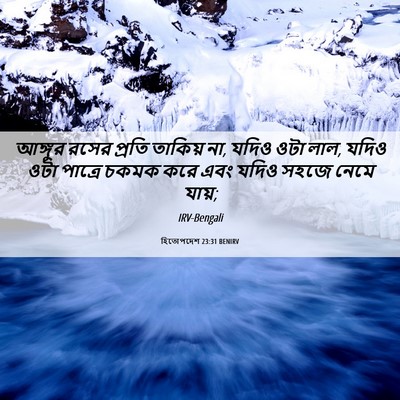 Picture 06 - হিতোপদেশ 23:31 BENIRV - আঙ্গুর রসের প্রতি - Bible Verse Picture