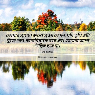 Picture 06 - হিতোপদেশ 24:14 BENIRV - তোমার প্রাণের - Bible Verse Picture