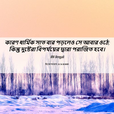 Picture 06 - হিতোপদেশ 24:16 BENIRV - কারণ ধার্মিক সাত - Bible Verse Picture