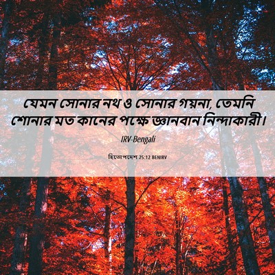 Picture 06 - হিতোপদেশ 25:12 BENIRV - যেমন সোনার নথ ও - Bible Verse Picture