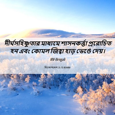Picture 06 - হিতোপদেশ 25:15 BENIRV - দীর্ঘসহিষ্ণুতার - Bible Verse Picture