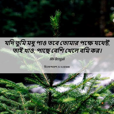 Picture 06 - হিতোপদেশ 25:16 BENIRV - যদি তুমি মধু পাও - Bible Verse Picture
