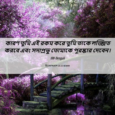 Picture 06 - হিতোপদেশ 25:22 BENIRV - কারণ তুমি এই রকম - Bible Verse Picture