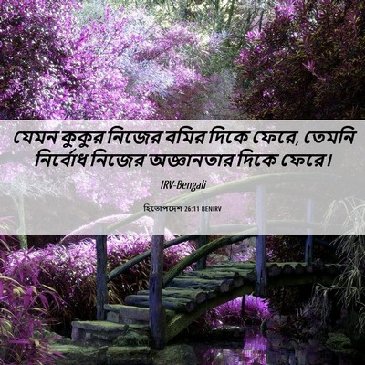 Picture 06 - হিতোপদেশ 26:11 BENIRV - যেমন কুকুর নিজের - Bible Verse Picture
