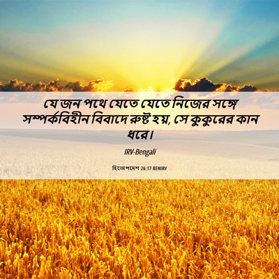 Picture 06 - হিতোপদেশ 26:17 BENIRV - যে জন পথে যেতে যেতে - Bible Verse Picture