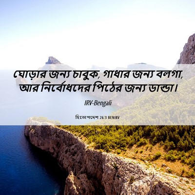 Picture 06 - হিতোপদেশ 26:3 BENIRV - ঘোড়ার জন্য চাবুক, - Bible Verse Picture
