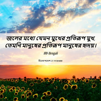 Picture 06 - হিতোপদেশ 27:19 BENIRV - জলের মধ্যে যেমন - Bible Verse Picture