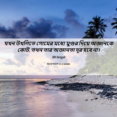 Picture 06 - হিতোপদেশ 27:22 BENIRV - যখন উখলিতে গোমের - Bible Verse Picture